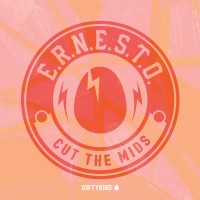 Online Mastering for Dirtybird Records - E.R.N.E.S.T.O. - Cut The Mids